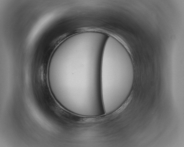 X0000113051438200908271046