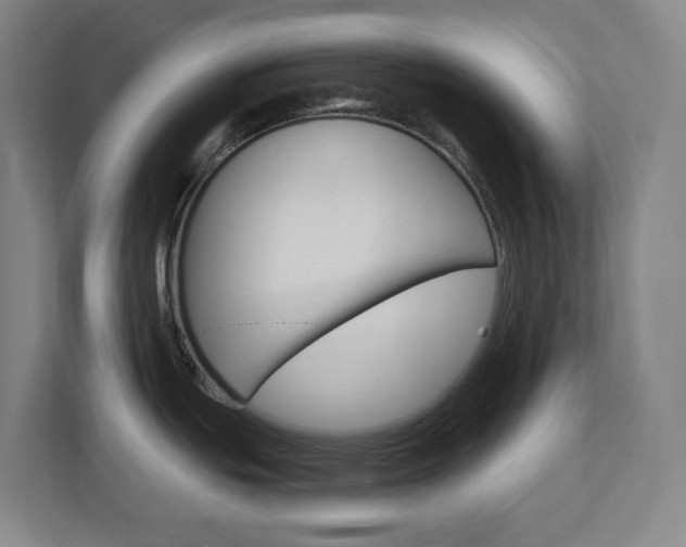 X0000113051439200908271046