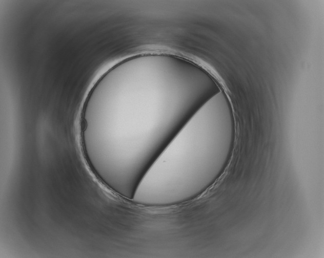 X0000113051440200908271046