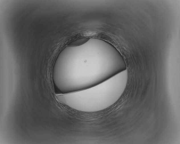 X0000113051441200908271045