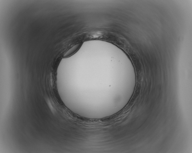X0000113051442200908271045