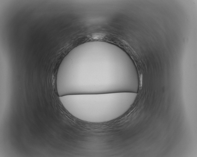 X0000113051443200908271045