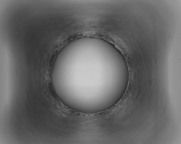 X0000113051445200908271045
