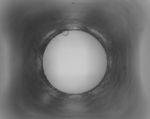 X0000113051446200908271045
