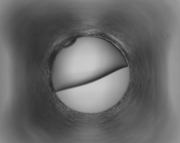 X0000113051447200908271045