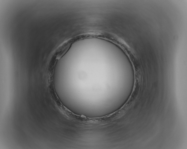 X0000113051448200908271045