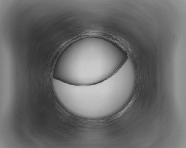X0000113051449200908271045