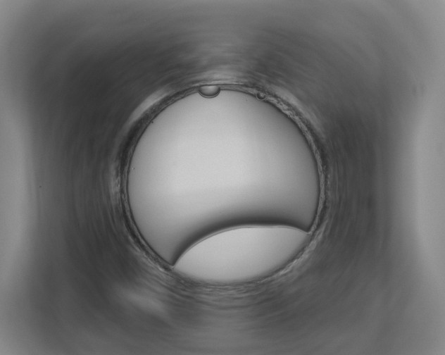 X0000113051450200908271045