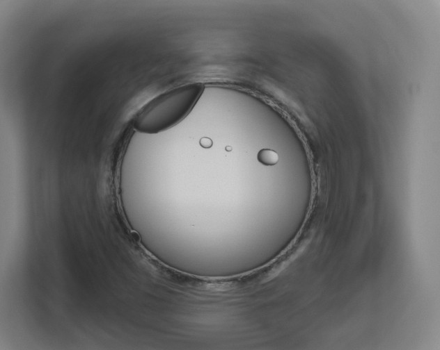X0000113051453200908271045