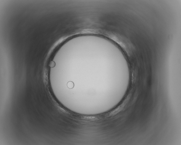 X0000113051454200908271045