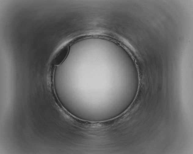 X0000113051456200908271045