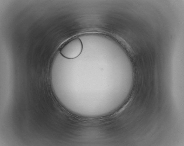 X0000113051457200908271045