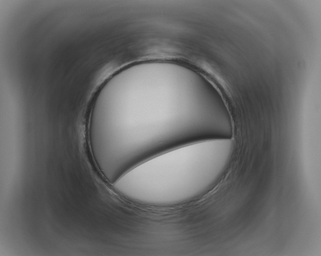 X0000113051459200908271045