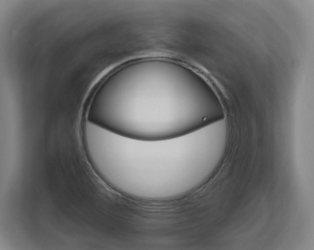 X0000113051460200908271045