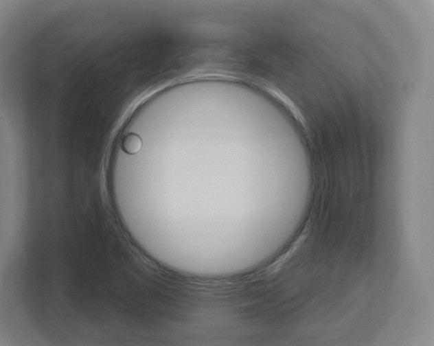 X0000113051461200908271045