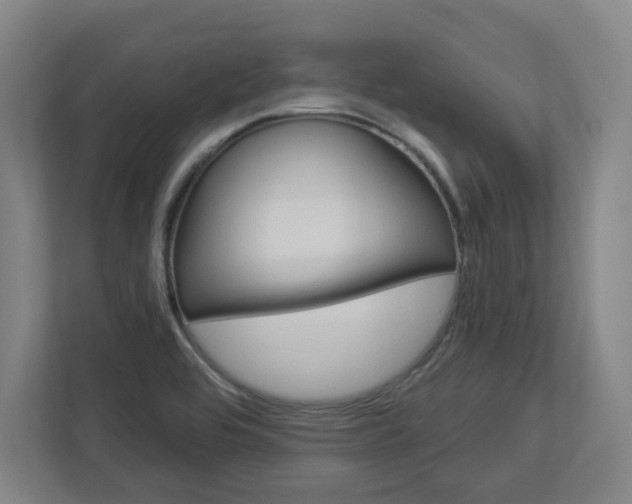 X0000113051464200908271045