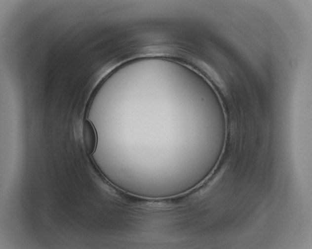 X0000113051465200908271045