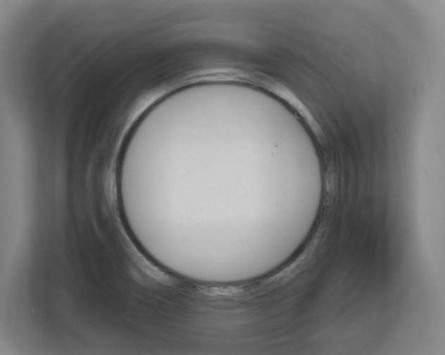 X0000113051466200908271045