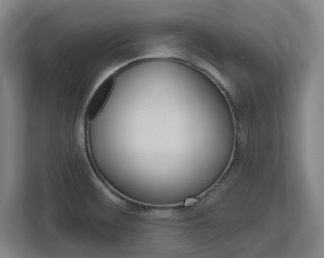 X0000113051468200908271045