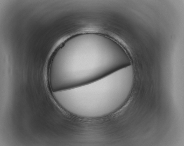 X0000113051469200908271045