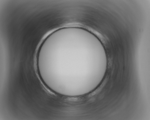X0000113051470200908271045