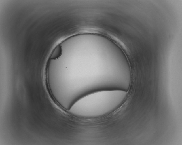 X0000113051471200908271045