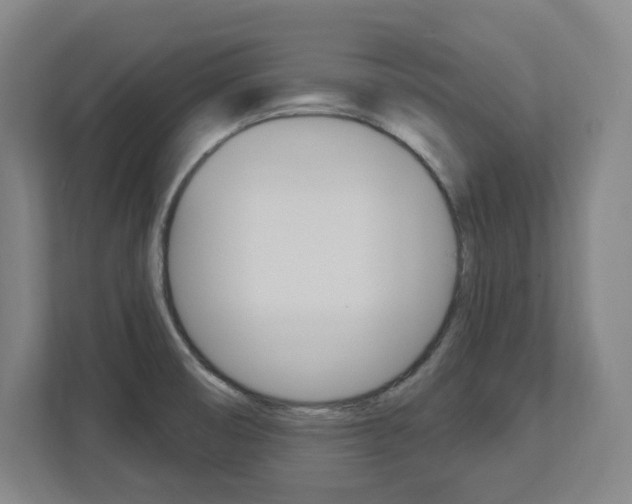 X0000113051474200908271045