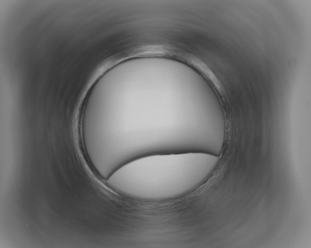 X0000113051475200908271045