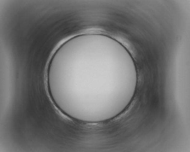 X0000113051478200908271045