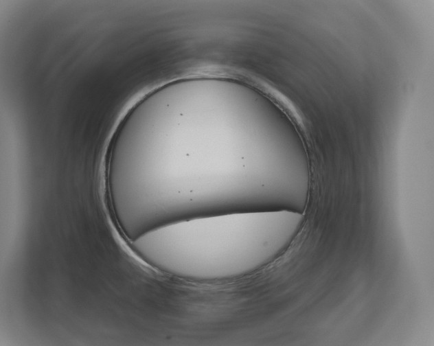 X0000113051479200908271045