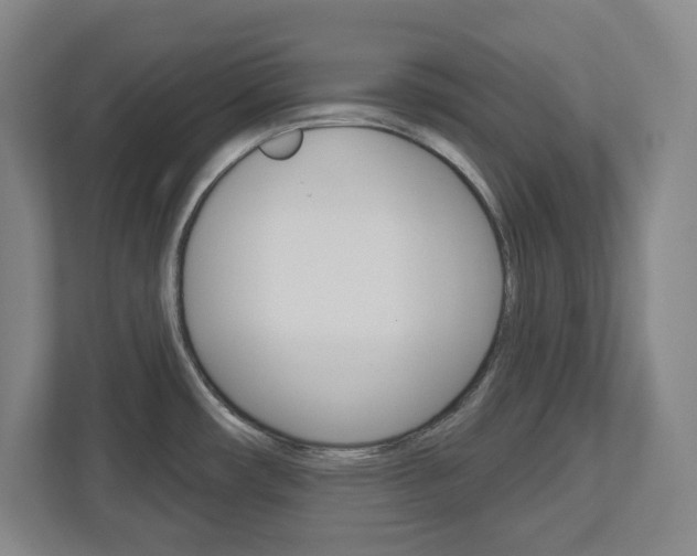 X0000113051482200908271044