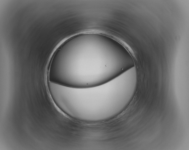 X0000113051484200908271044