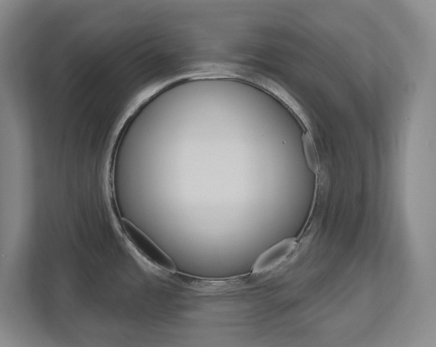 X0000113051485200908271044
