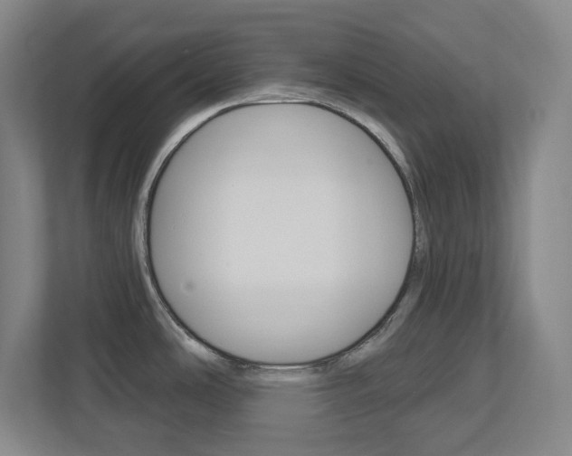 X0000113051486200908271044