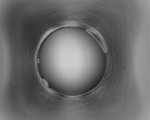 X0000113051488200908271044