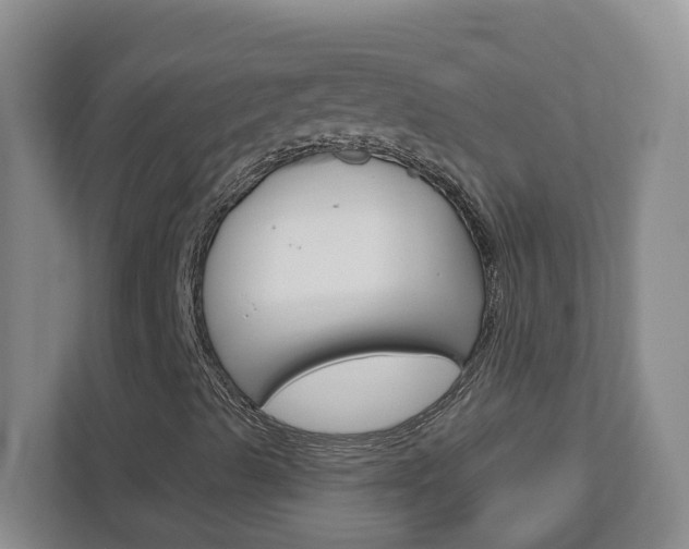 X0000113051489200908271044