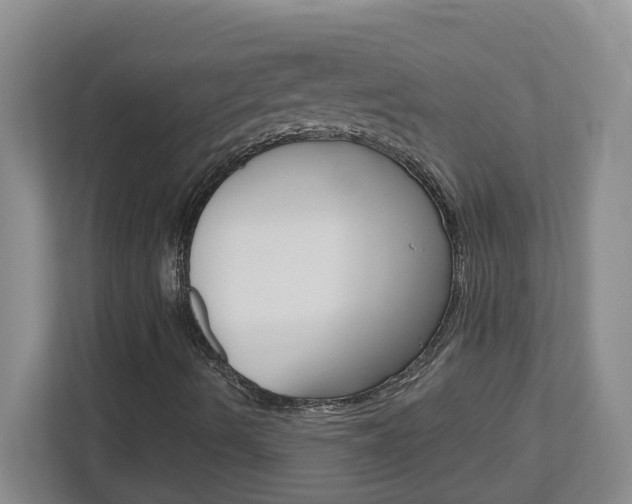 X0000113051490200908271044