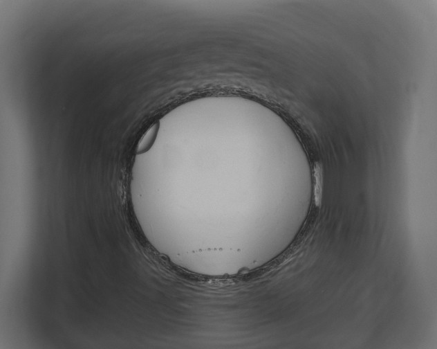X0000113051491200908271044