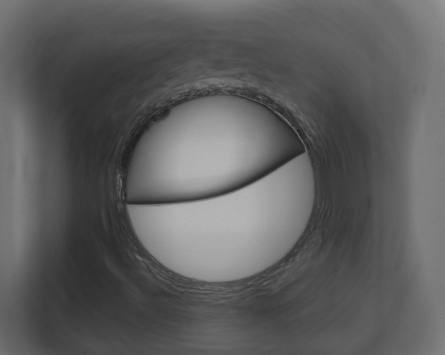 X0000113051492200908271044