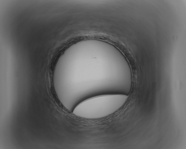 X0000113051493200908271044
