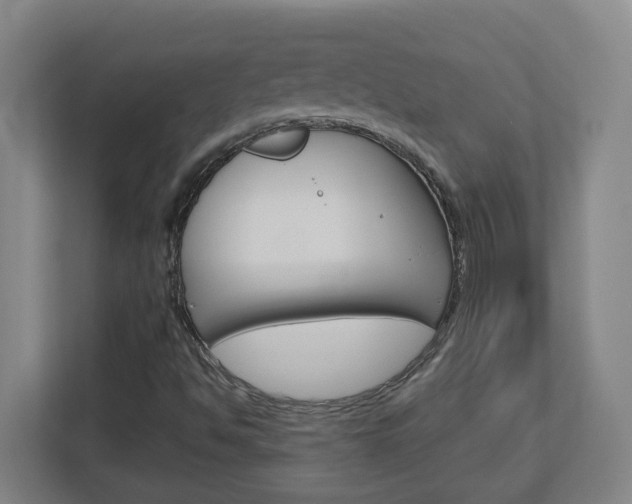 X0000113051494200908271044