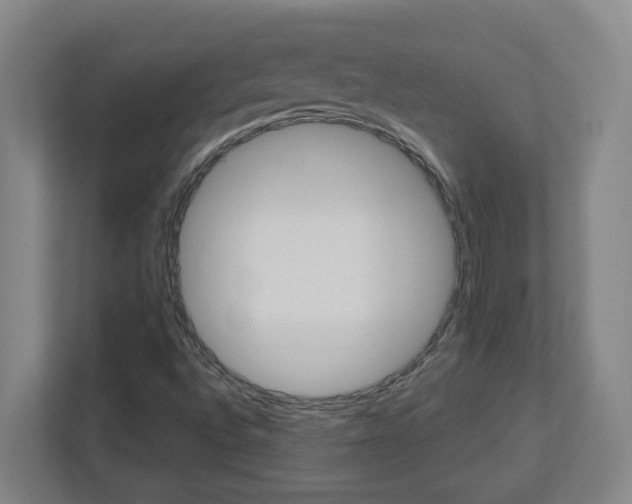 X0000113051496200908271044