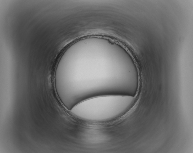 X0000113051497200908271044