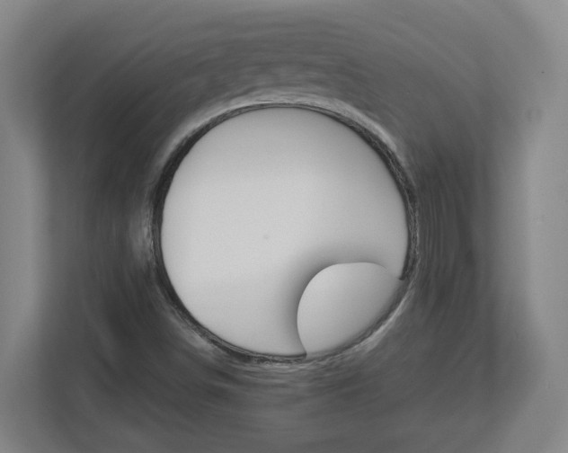 X0000113051498200908271044