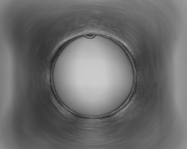 X0000113051499200908271044