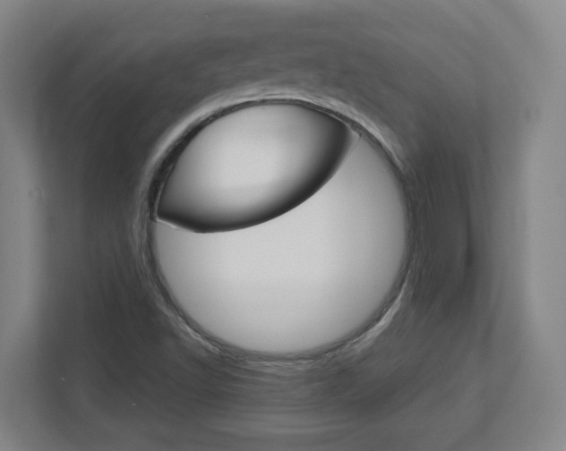 X0000113051502200908271044
