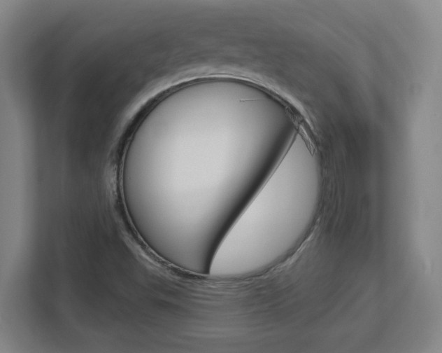 X0000113051503200908271044