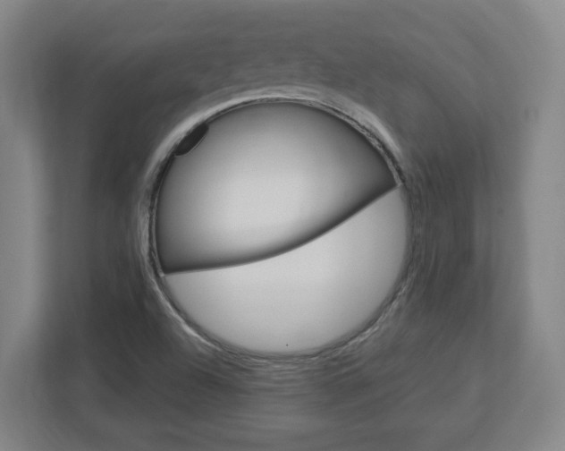 X0000113051504200908271044