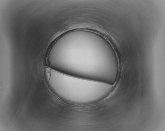 X0000113051505200908271044