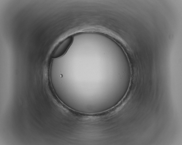 X0000113051506200908271044